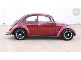 1966 Volkswagen Beetle (CC-2073161) for sale in Tulsa, Oklahoma