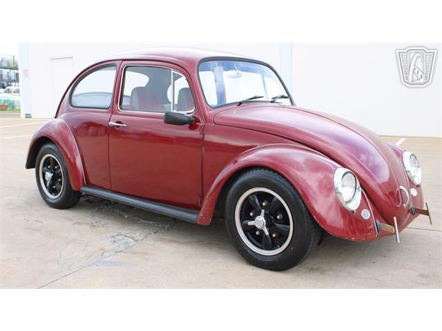 1966 Volkswagen Beetle (CC-2073161) for sale in Tulsa, Oklahoma