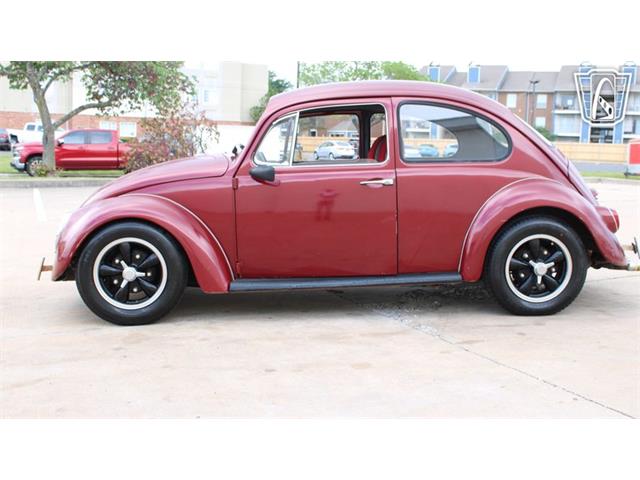 1966 Volkswagen Beetle (CC-2073161) for sale in Tulsa, Oklahoma