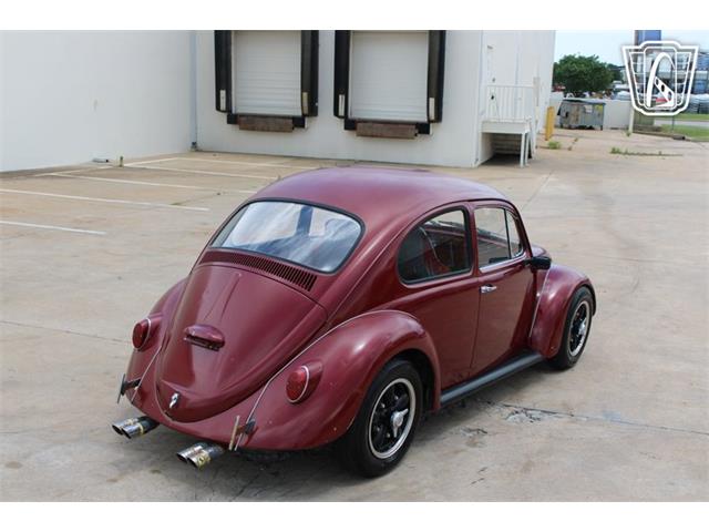 1966 Volkswagen Beetle (CC-2073161) for sale in Tulsa, Oklahoma