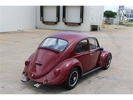 1966 Volkswagen Beetle (CC-2073161) for sale in Tulsa, Oklahoma