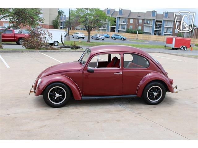 1966 Volkswagen Beetle (CC-2073161) for sale in Tulsa, Oklahoma