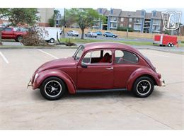 1966 Volkswagen Beetle (CC-2073161) for sale in Tulsa, Oklahoma