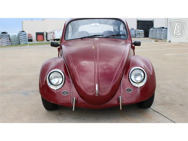 1966 Volkswagen Beetle (CC-2073161) for sale in Tulsa, Oklahoma