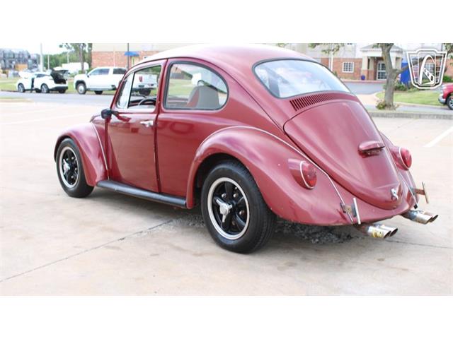 1966 Volkswagen Beetle (CC-2073161) for sale in Tulsa, Oklahoma