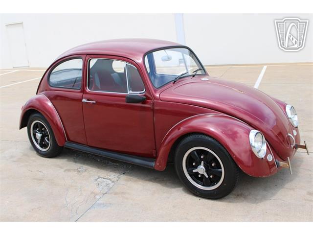 1966 Volkswagen Beetle (CC-2073161) for sale in Tulsa, Oklahoma