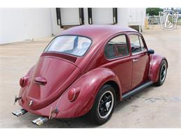 1966 Volkswagen Beetle (CC-2073161) for sale in Tulsa, Oklahoma