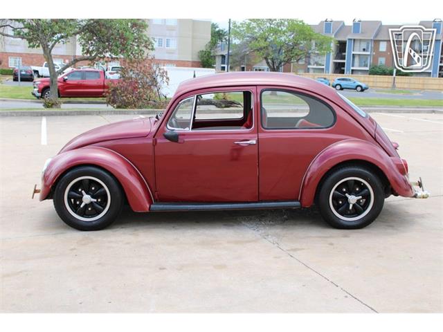 1966 Volkswagen Beetle (CC-2073161) for sale in Tulsa, Oklahoma