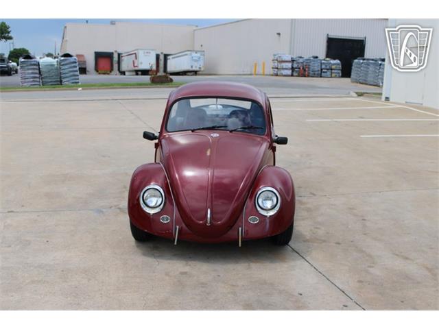 1966 Volkswagen Beetle (CC-2073161) for sale in Tulsa, Oklahoma