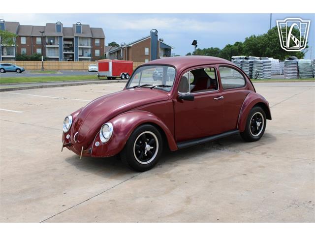 1966 Volkswagen Beetle (CC-2073161) for sale in Tulsa, Oklahoma
