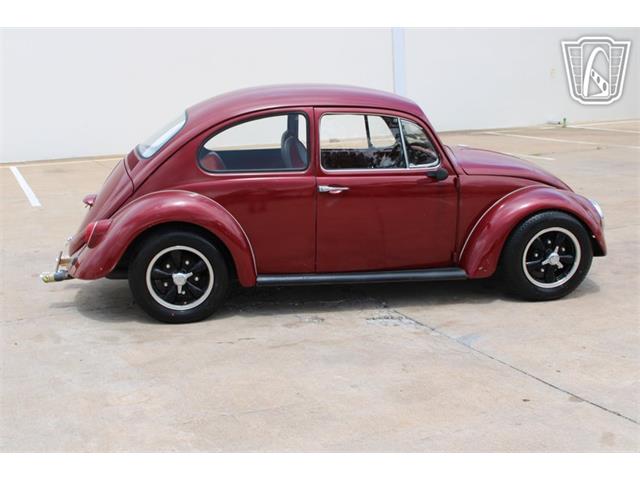 1966 Volkswagen Beetle (CC-2073161) for sale in Tulsa, Oklahoma