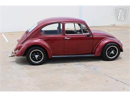 1966 Volkswagen Beetle (CC-2073161) for sale in Tulsa, Oklahoma