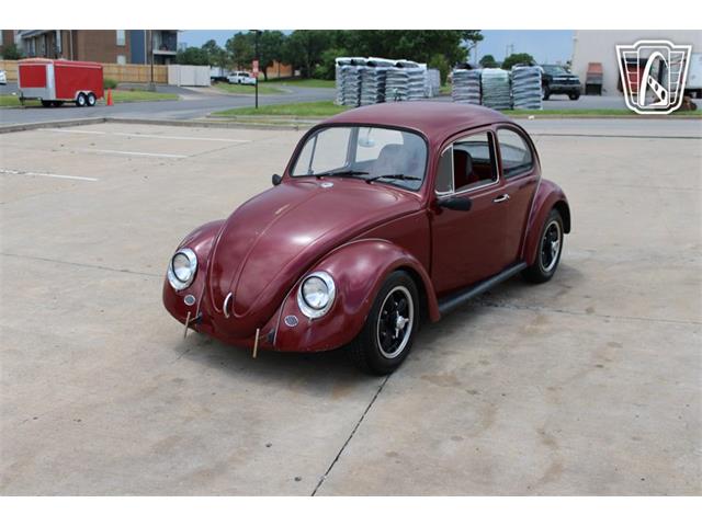 1966 Volkswagen Beetle (CC-2073161) for sale in Tulsa, Oklahoma