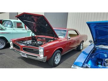 1966 Pontiac Tempest (CC-2073191) for sale in Cadillac, Michigan