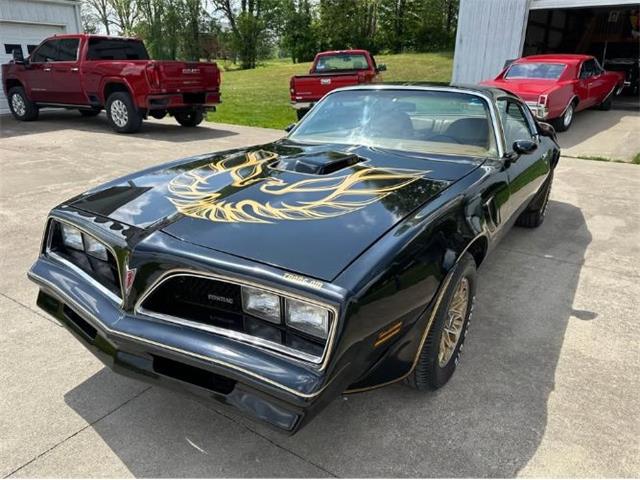 1978 Pontiac Firebird (CC-2073194) for sale in Cadillac, Michigan