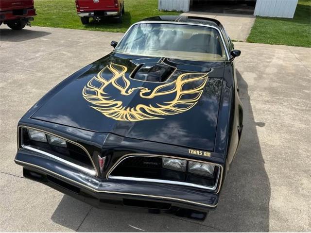 1978 Pontiac Firebird (CC-2073194) for sale in Cadillac, Michigan