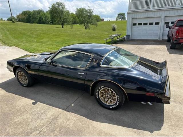 1978 Pontiac Firebird (CC-2073194) for sale in Cadillac, Michigan