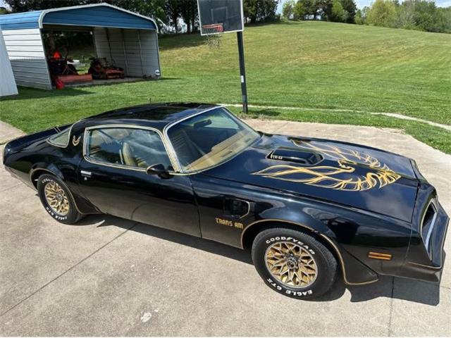 1978 Pontiac Firebird (CC-2073194) for sale in Cadillac, Michigan