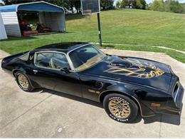 1978 Pontiac Firebird (CC-2073194) for sale in Cadillac, Michigan