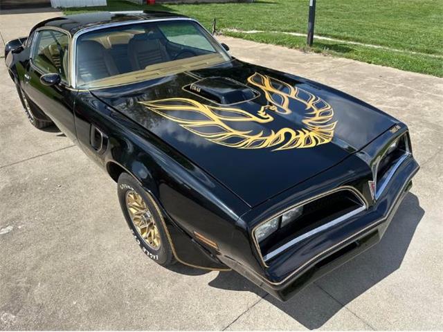1978 Pontiac Firebird (CC-2073194) for sale in Cadillac, Michigan