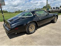 1978 Pontiac Firebird (CC-2073194) for sale in Cadillac, Michigan