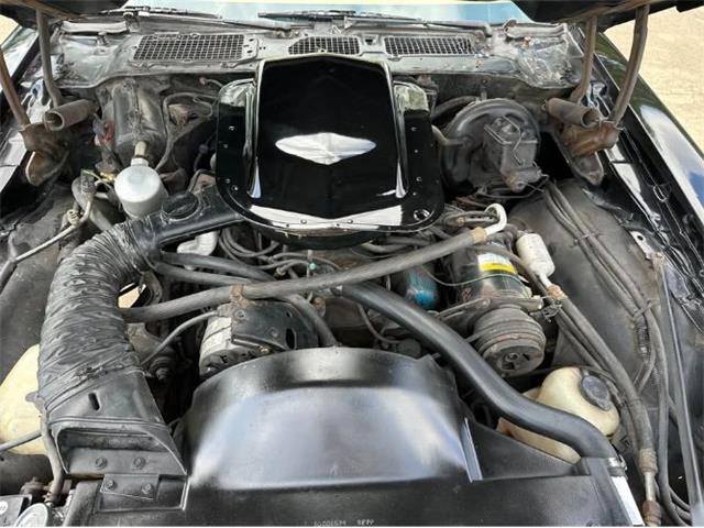 1978 Pontiac Firebird (CC-2073194) for sale in Cadillac, Michigan