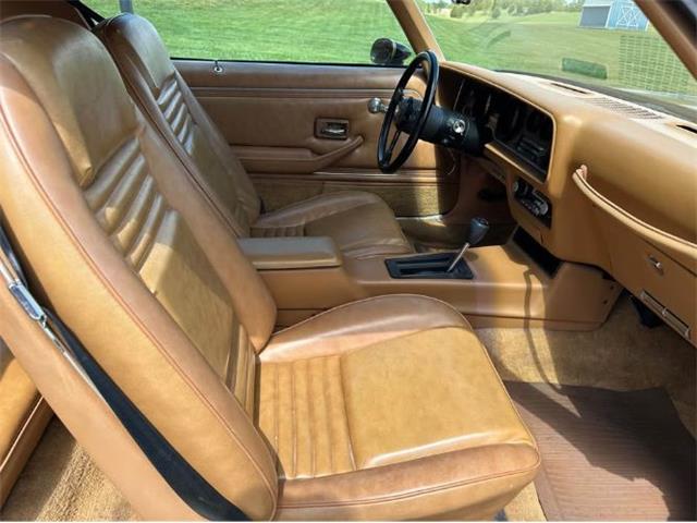1978 Pontiac Firebird (CC-2073194) for sale in Cadillac, Michigan