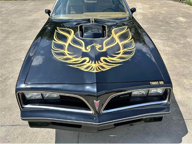 1978 Pontiac Firebird (CC-2073194) for sale in Cadillac, Michigan