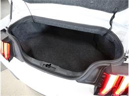 2019 Ford Mustang (CC-2073251) for sale in Addison, Illinois