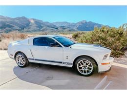 2008 Shelby GT500 (CC-2073292) for sale in Alamogordo, New Mexico