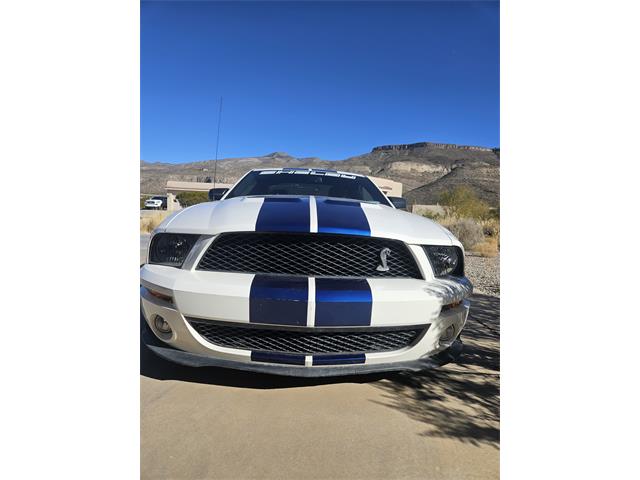 2008 Shelby GT500 (CC-2073292) for sale in Alamogordo, New Mexico