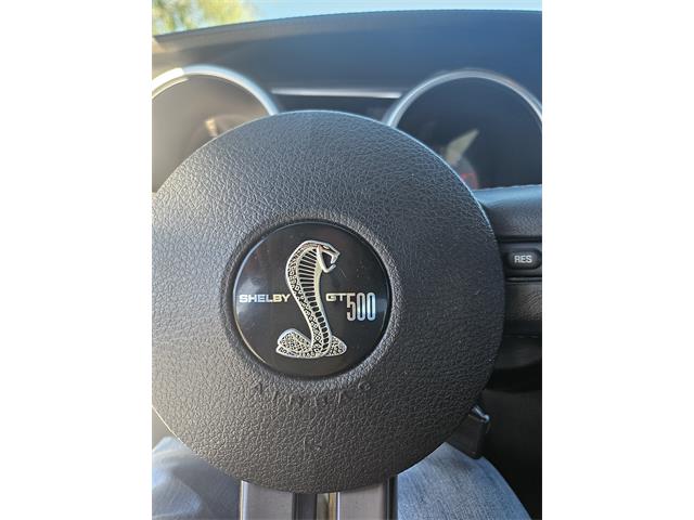 2008 Shelby GT500 (CC-2073292) for sale in Alamogordo, New Mexico