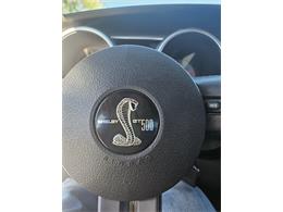 2008 Shelby GT500 (CC-2073292) for sale in Alamogordo, New Mexico