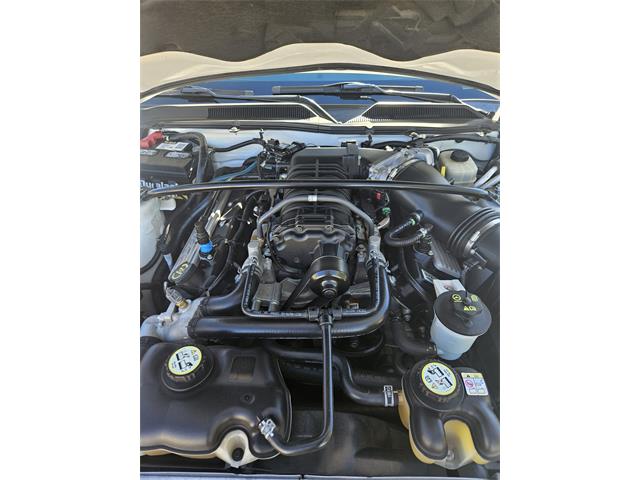 2008 Shelby GT500 (CC-2073292) for sale in Alamogordo, New Mexico
