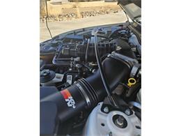 2008 Shelby GT500 (CC-2073292) for sale in Alamogordo, New Mexico