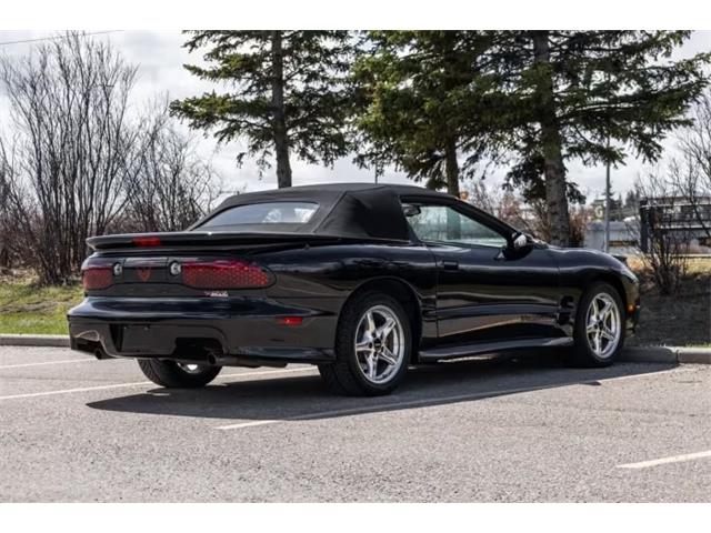 1999 Pontiac Firebird (CC-2073324) for sale in Addison, Illinois