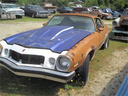 1974 Chevrolet Camaro LT (CC-2073358) for sale in Gray Court, South Carolina
