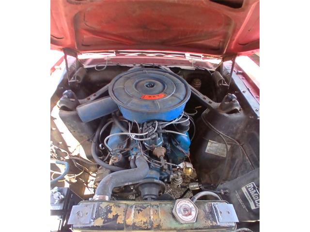 1966 Ford Mustang Cobra (CC-2073439) for sale in Houston, Missouri