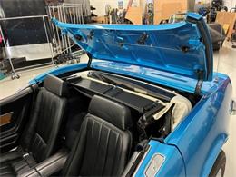 1969 Chevrolet Corvette C3 (Collector's Edition) (CC-2073509) for sale in Villa Park, Illinois