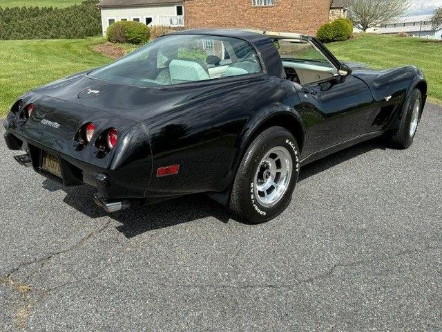 1979 Chevrolet Corvette (CC-2073516) for sale in Greensboro, North Carolina