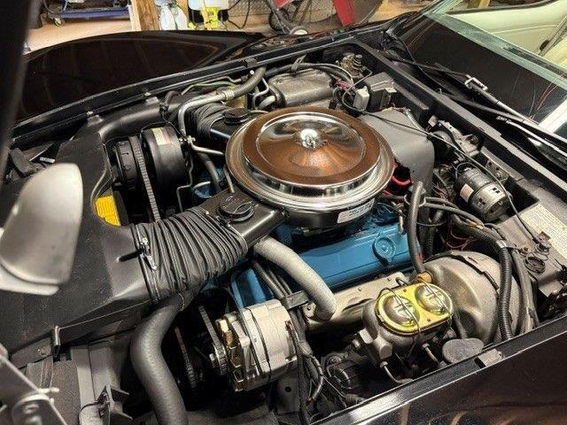 1979 Chevrolet Corvette (CC-2073516) for sale in Greensboro, North Carolina