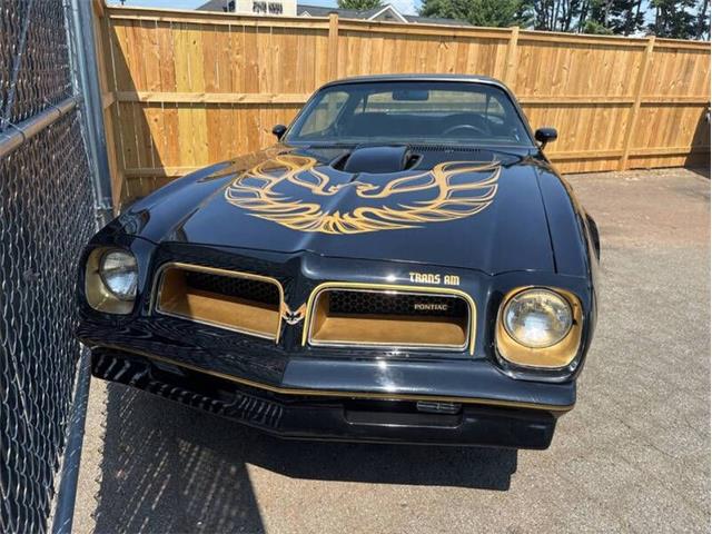 1976 Pontiac Firebird Trans Am (CC-2073572) for sale in Greensboro, North Carolina