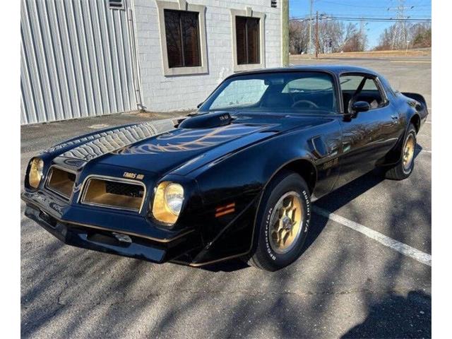 1976 Pontiac Firebird Trans Am (CC-2073572) for sale in Greensboro, North Carolina