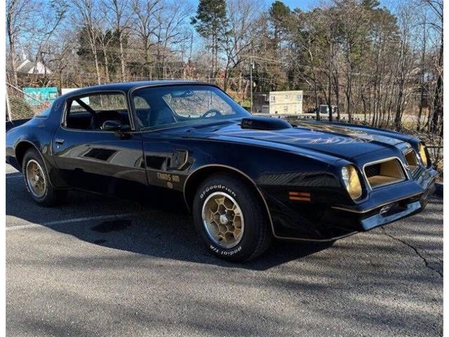 1976 Pontiac Firebird Trans Am (CC-2073572) for sale in Greensboro, North Carolina