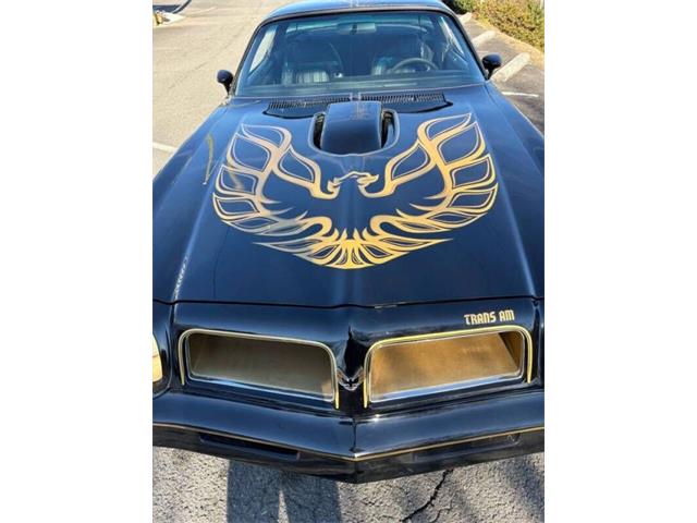 1976 Pontiac Firebird Trans Am (CC-2073572) for sale in Greensboro, North Carolina