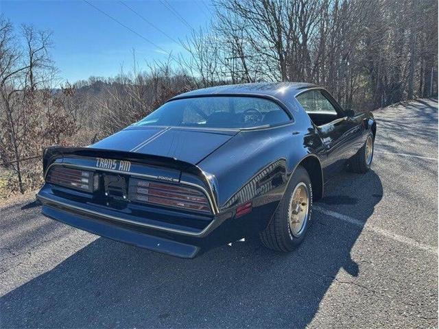 1976 Pontiac Firebird Trans Am (CC-2073572) for sale in Greensboro, North Carolina