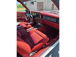 1984 Ford Mustang (CC-2073574) for sale in Greensboro, North Carolina
