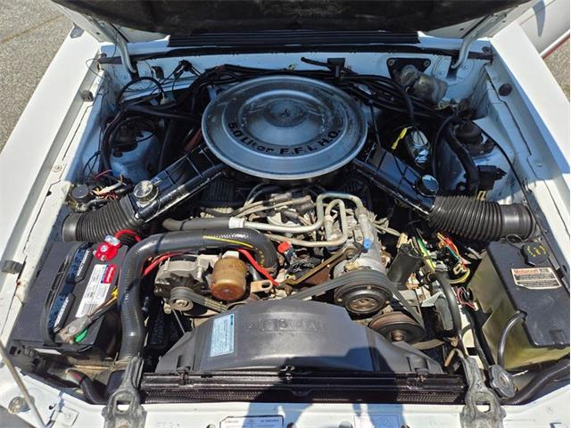 1984 Ford Mustang (CC-2073574) for sale in Greensboro, North Carolina