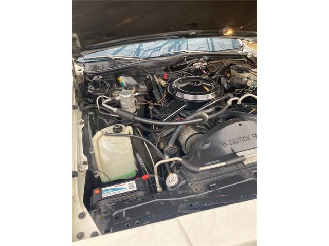 1985 Pontiac Parisienne (CC-2073596) for sale in Greensboro, North Carolina