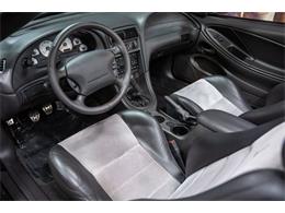 2003 Ford Cobra (CC-2070362) for sale in Bristol, Pennsylvania